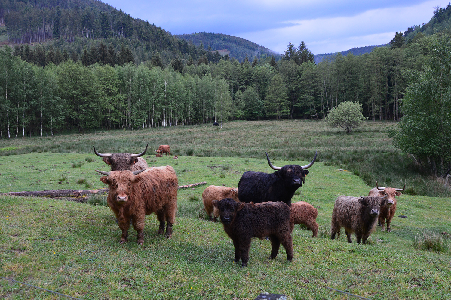 Mairie de Turquestein-Blancrupt